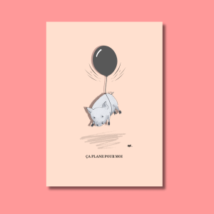 plane illustration idée cadeau décoration original fantaisie création française unique